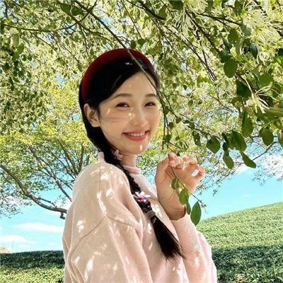 山茶花飘零